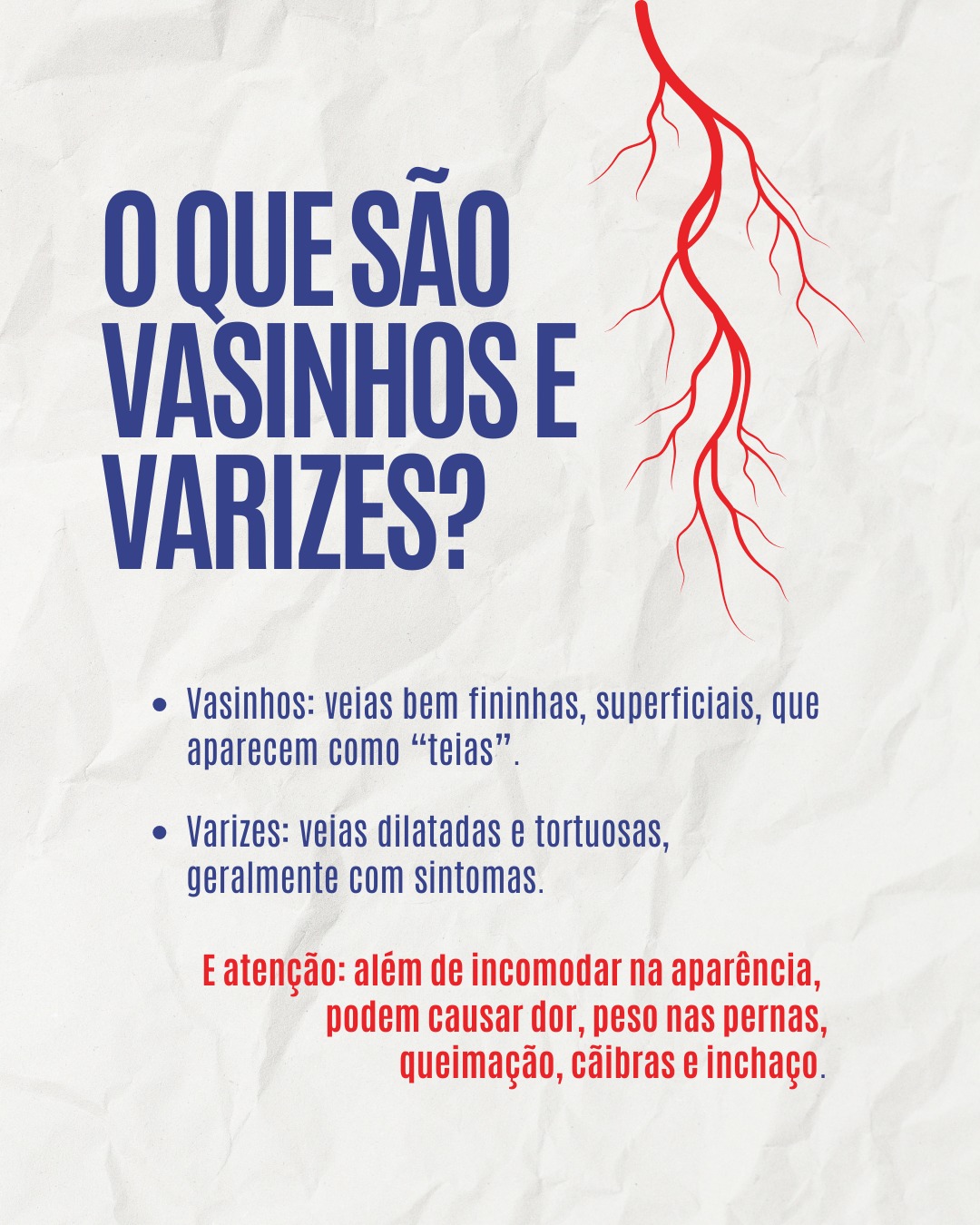 WhatsApp Image 2026 02 10 At 11.52.11 (1)